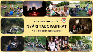 Természetismereti nyári táborok 2024-ben