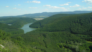 Természetismereti vetélkedő - márciusi forduló