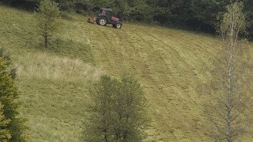 Természetvédelmi célú területkezelés