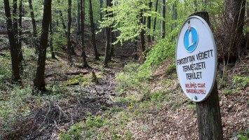 Természetvédelmi kérdőív - Kisorsoltuk a nyerteseket