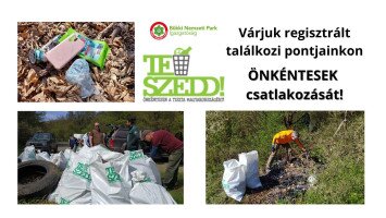 TeSzedd! 2025 - Várjuk önkéntesek csatlakozását hulladékszedési akciónapjainkhoz