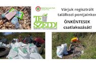 TeSzedd! 2025 - Várjuk önkéntesek csatlakozását hulladékszedési akciónapjainkhoz