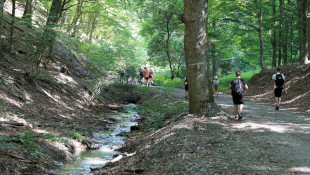 Túramanó Tábor 2026 erdei iskolai program