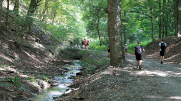 Túramanó Tábor 2026 erdei iskolai program