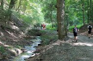 Túramanó Tábor 2026 erdei iskolai program