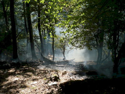 P1110335