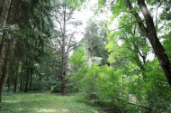 Tuzson arborétum, Fenyvespuszta