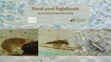 Új természetismereti modul a Harkály Házban - Patak parti foglalkozás