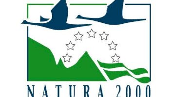 Véleményezhető a „Kisgyőri Ásottfa-tető - Csókás-völgy” (HUBN20005)” Natura 2000 fenntartási terve