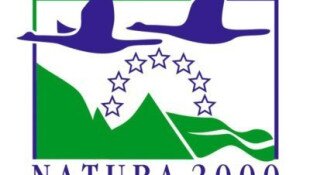 Véleményezhető Natura 2000 fenntartási terv és meghívó fórumra – „Gyepes-völgy” (HUBN20025) kiemelt jelentőségű természet-megőrzési terület