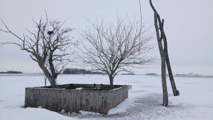 Víz a legelőn – mi köze van a kutaknak az ürgékhez?