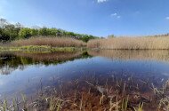 BETELT - Vizes Élőhelyek Világnapja