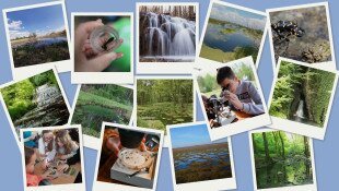 Vizes Élőhelyek Világnapja