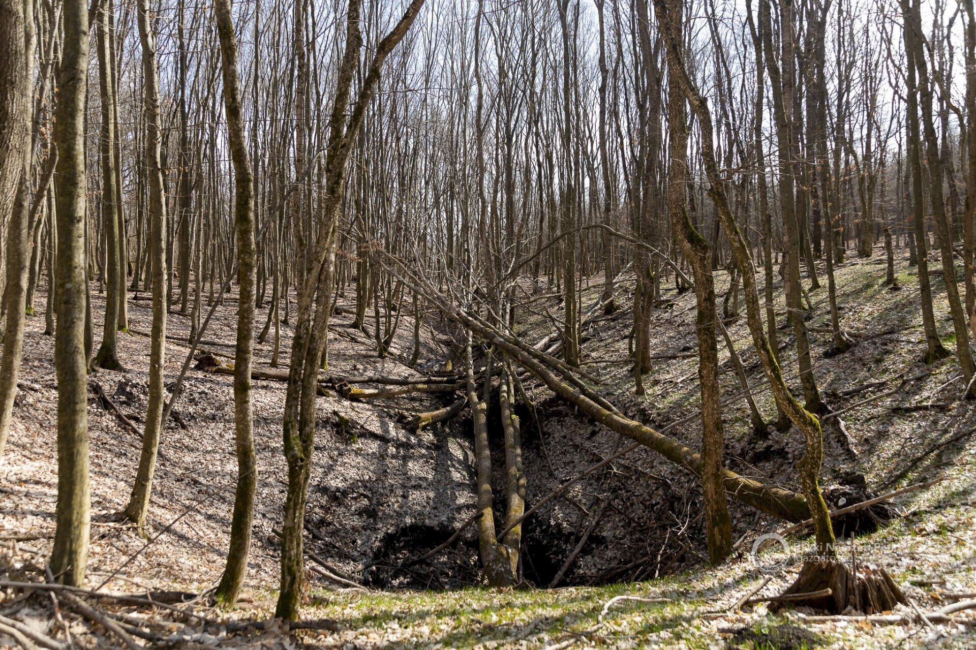 víznyelő