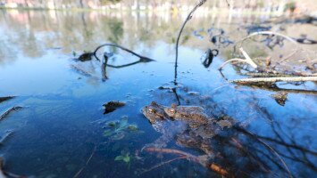 Víz Világnapi programok Felsőtárkányban