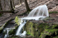 BETELT - Vizes Élőhelyek Világnapja