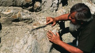 Vulkánnap és Geoparkok Hete az Ősmaradványoknál