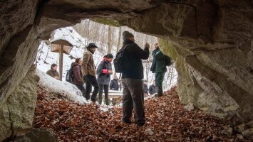 Winter tree trunk cave tour to the Miocene prehistoric world beyond borders