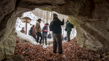 Winter tree trunk cave tour to the Miocene prehistoric world beyond borders