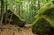 Zaboda (SK)