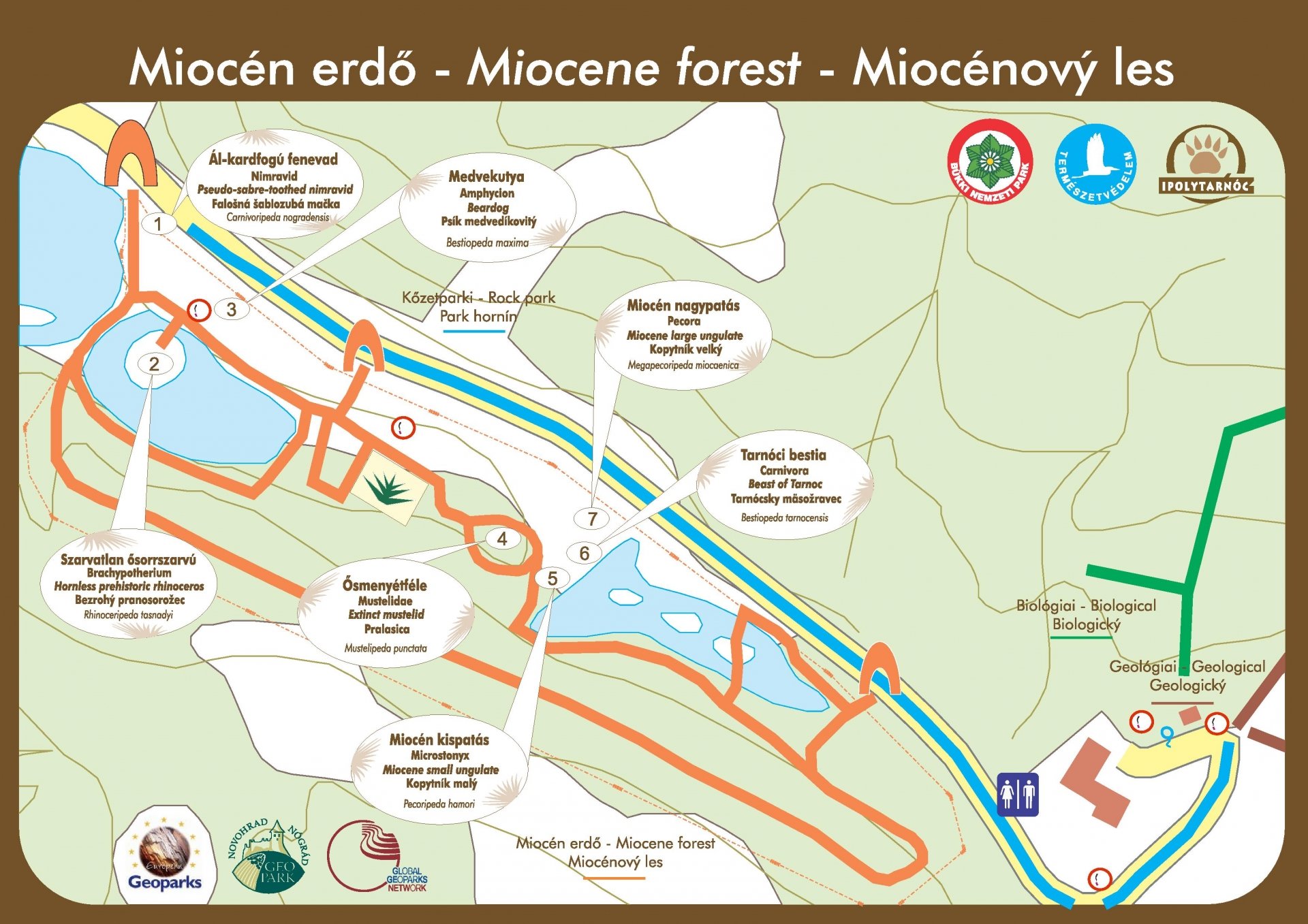 miocén erdő térképe