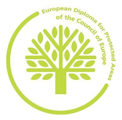 Európa Diploma logó